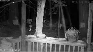 Predator Cam Cam ....