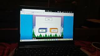 Lexia level 11