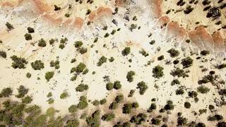 Plateau, Fishlakethousand Lakes Utah Elk