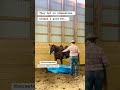 What a great clinic in Waterton! If you weren’t there