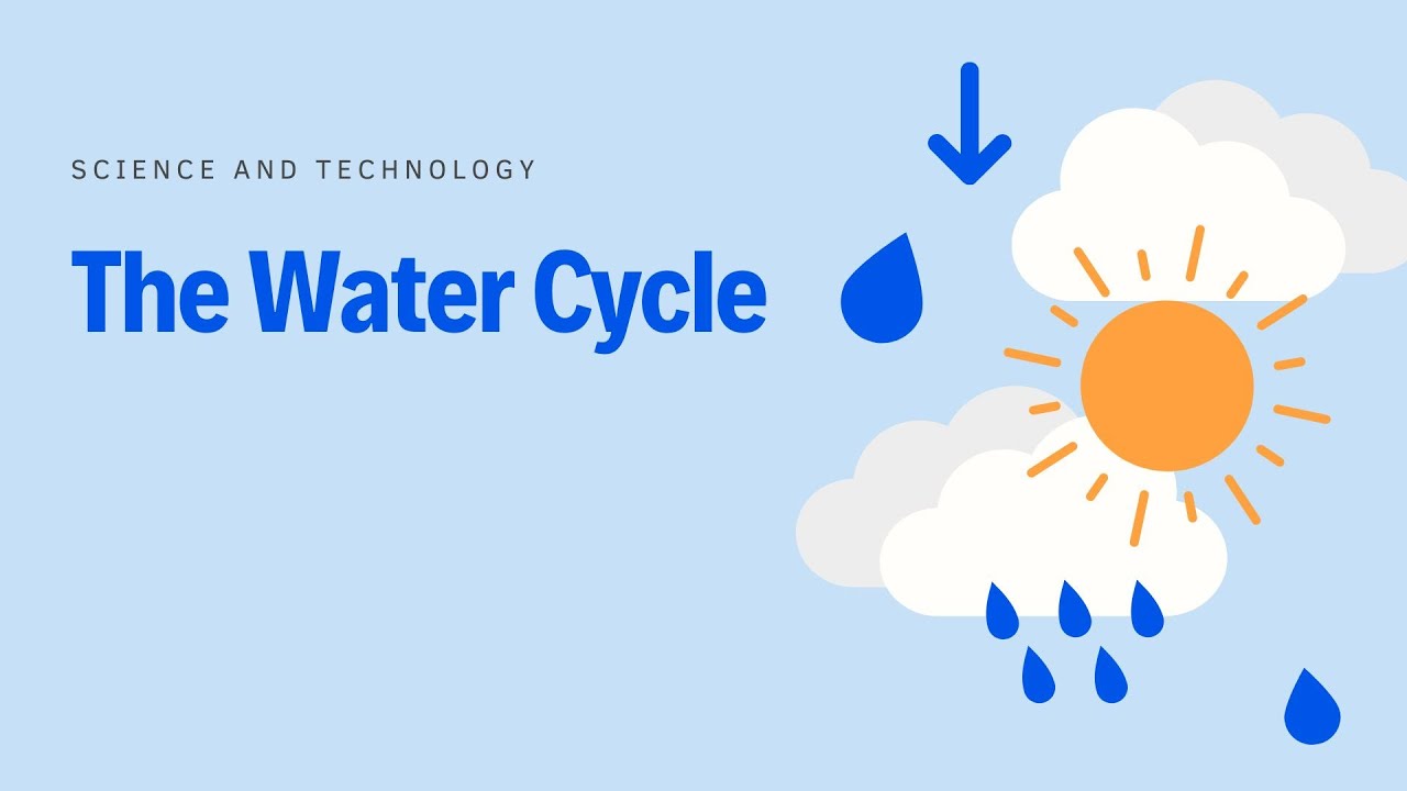 🌧️ The Water Cycle Explained for Kids | Fun & Easy Science Video 🌧️