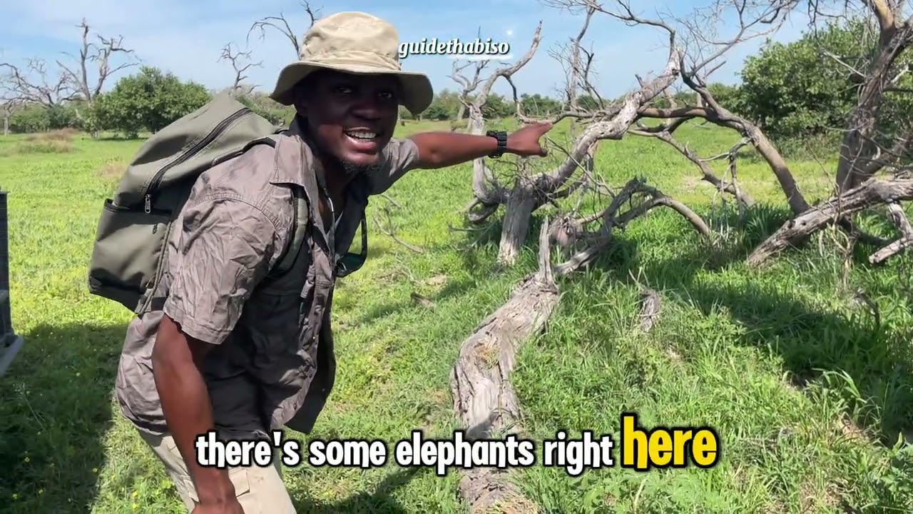 Survival skills put to the test, let’s find direction 