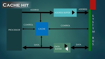 Typical cache organization