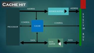 Famous Typical cache organization Wealth
