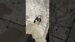 Xử lý lỗi Adsense xác minh danh tính không thành công