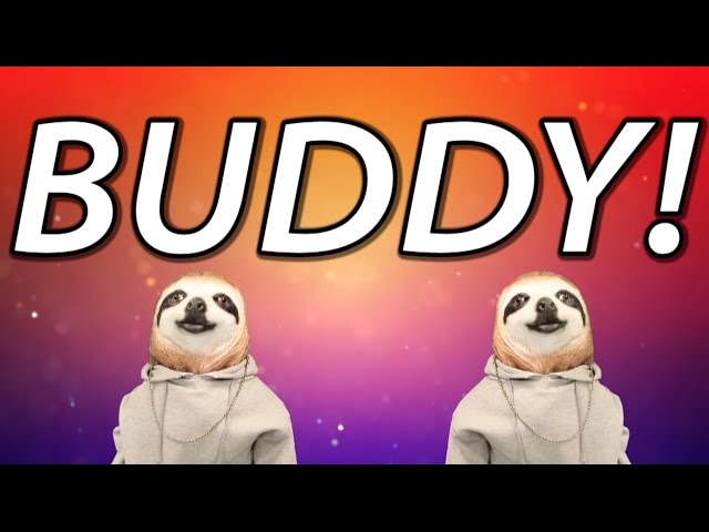HAPPY BIRTHDAY BUDDY! - SLOTH HAPPY BIRTHDAY RAP