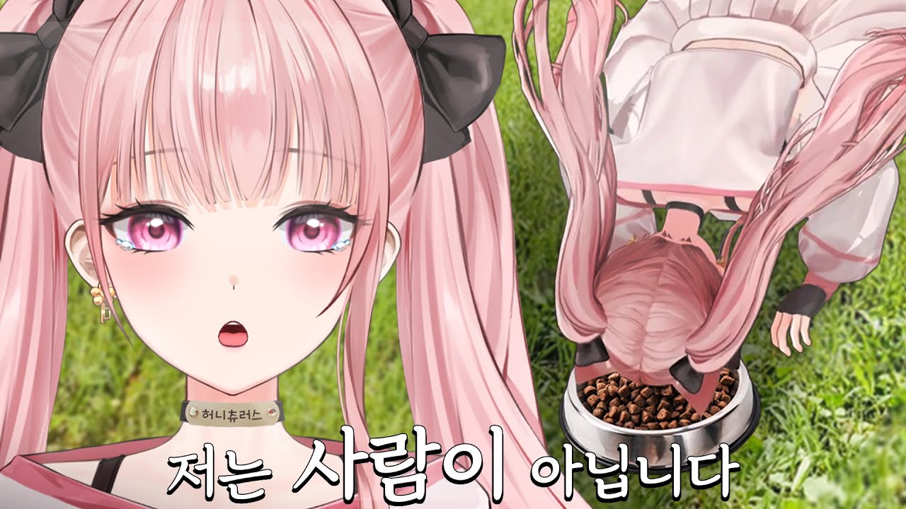 안녕하세요 개밥츄러스입니다.. [허니즈 핫클립]