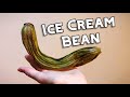 Ice Cream Bean - Weird Fruit Explorer Ep. 200