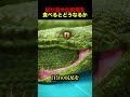 蛇が自分の尻尾を食べるのはのサムネイル