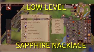 SAPPHIRE NACKLACE (Guide)￼