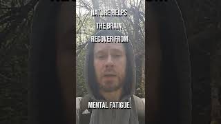 Being Outside Reduces Stress &amp; Fatigue 🌿  #mindset #motivation #philosophy