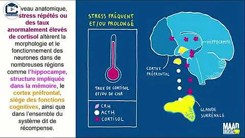 Les neurosciences au service de l'innovation et la...