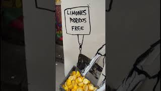 Vendo limones. es – trash art, street artist Barcelona, street art video Barcelona – street art video Barcelona