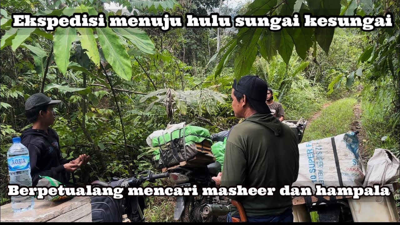 Ekspedisi | CAMPING AND FISHING AREA RANTAU LAYUNG MENCARI IKAN DENGAN PUKAT DAN SUDAK(alat panahan)