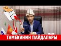 ТАМЕКИНИН ПАЙДАЛАРЫ ... Көрсөң таң каласың! ТАМЕКИ чекпегендер көрбөсүн!