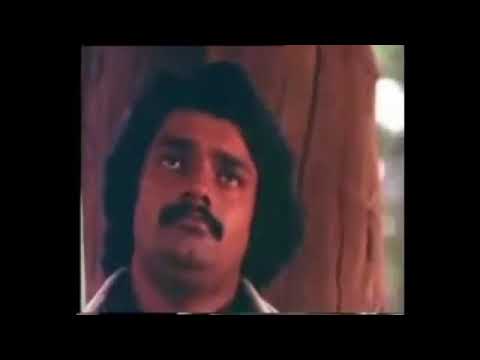 Mizhiyoram song from Malayalam movie Manjil Virinja Pookkal   Subtitles  Dr Mrinalini J Singh