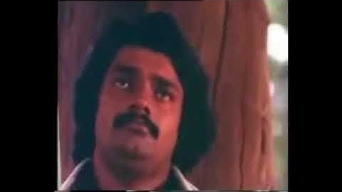 Mizhiyoram song from Malayalam movie Manjil Virinja Pookkal - Subtitles -Dr. Mrinalini J Singh
