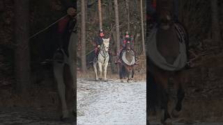 Come At Trail Ride With Me And Ella