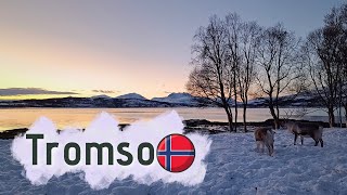 3 Days in Tromso 🇧🇻 ( Winter Edition)