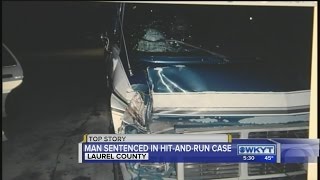 Man sentenced for hit-and-run