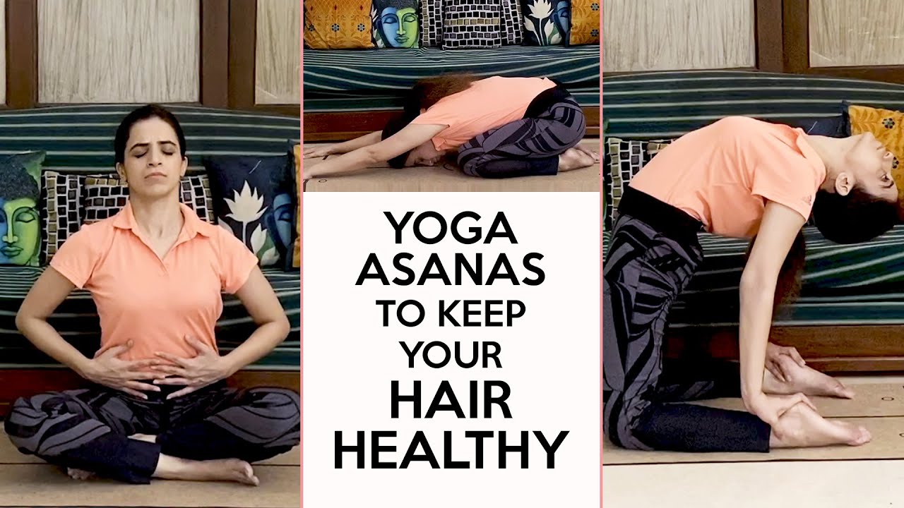 Yoga Asanas to Keep your hair healthy | 4 Yoga Asanas for Healthy Hair ...