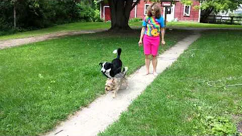 Alita gets Charlie