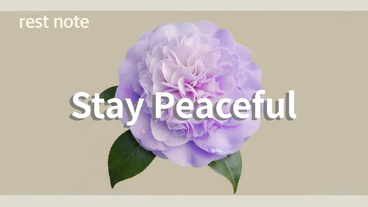 Stay Peaceful｜心をおだやかに｜Playlist chill house  lo-fi