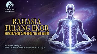 Download Lagu ✨Tulang Ekor, Tubuh, dan Transformasi Energi || Menyelami Harmoni Fisik dan Rohani💫 MP3