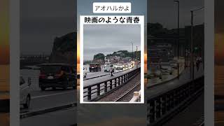 映画のような青春 #twitter #shortsfeed