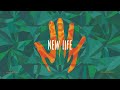 Miniature de la vidéo de la chanson New Life