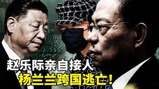 习近平私生女杨兰兰人间蒸发！政治局常委赵乐际亲赴澳洲接人，揭秘国家级保护有多离谱！ 「杨兰兰身世」再被抛出，习近平与越剧名伶的隐秘情史？