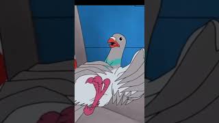 #normmacdonaldtribute #normmacdonald Rest In Peace #miketyson #pigeon