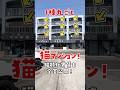 【1棟まるごと猫マンション】猫のために私の賃貸物件を捧げました #ねこ #ルームツアー #ねこ物件