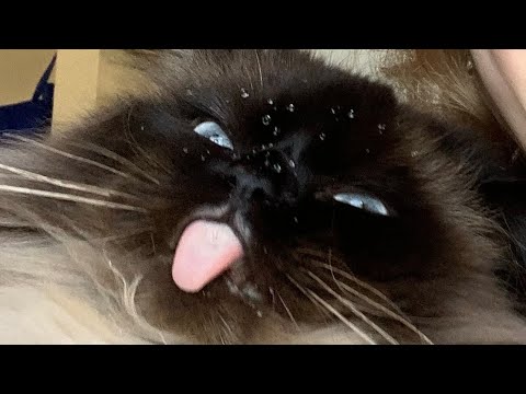 the most hydrated video you have ever seen