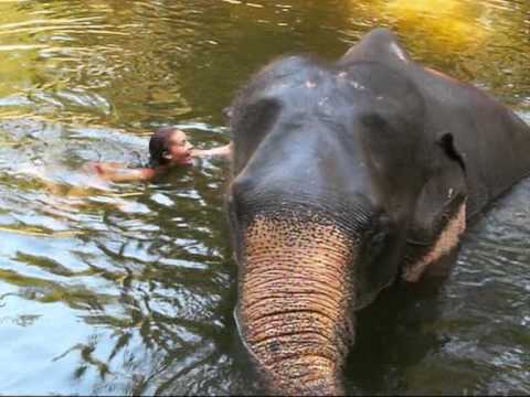 Tanit Phoenix, and Rambo the elephant, swimming in the Jungle