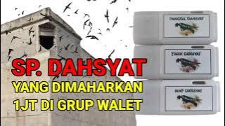 Panggil DAHSYAT, Suara Walet Harga 1 Juta Sepaket !!!!!!!!!!!!!!!!!!!