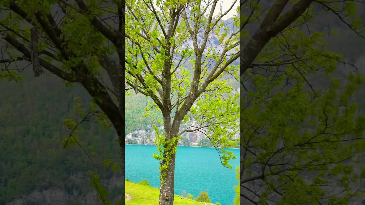 Wanderlust Alert: The Most Beautiful Places in Switzerland 🇨🇭