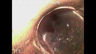 #353006208: Video Inspection- Residential in Philadelphia