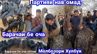 картинка: Молбозори Хулбук, АЙ байни бозор инхора ёфтем, нархи Барача и Бе оча, 12 января 2024 г.