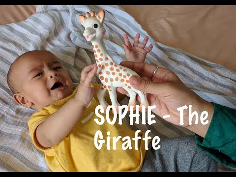Video Baby Teethers Manufacturer In India