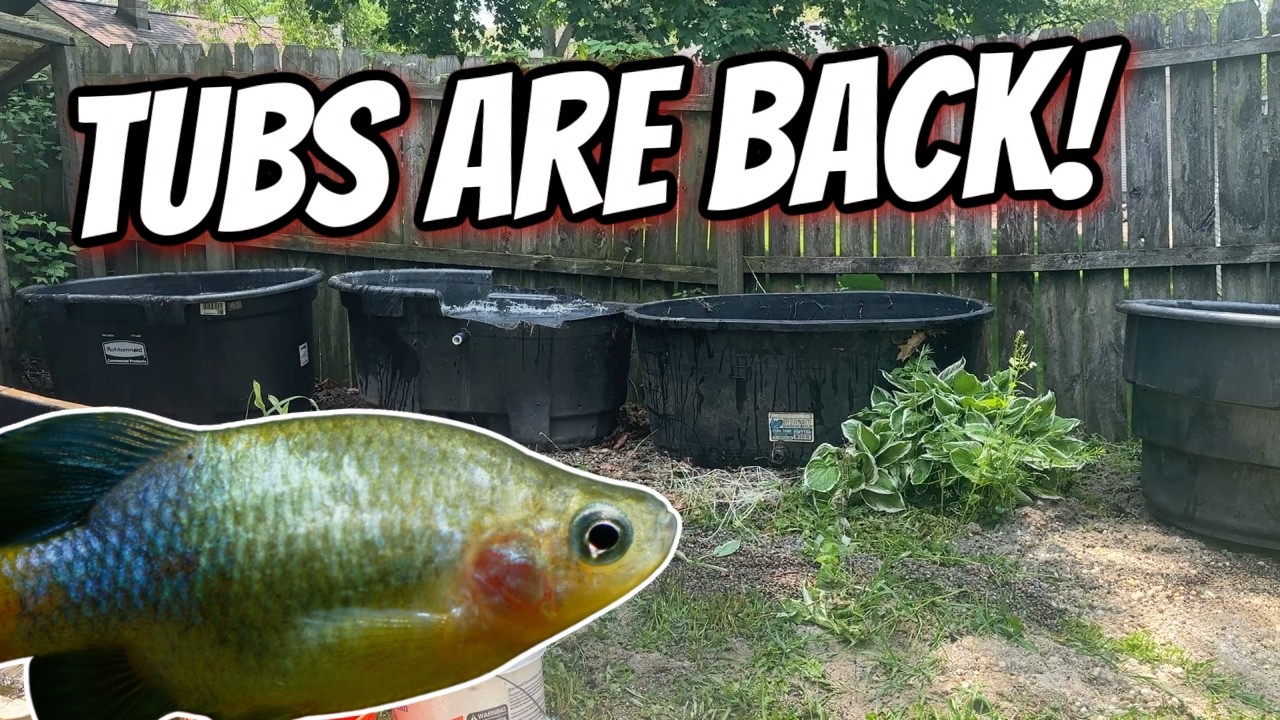 Summer Tubs Are Back!  Summer Tubbing 2026
