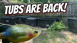 Summer Tubs Are Back!  Summer Tubbing 2026