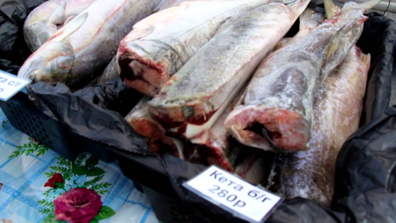 Сколько Стоит Судак В Магазине