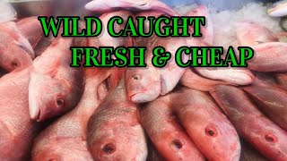 Texas Fresh Seafood with reasonable price; Seabrook near Kemah Boardwalk