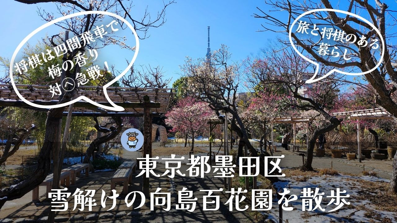 ２月の向島百花園