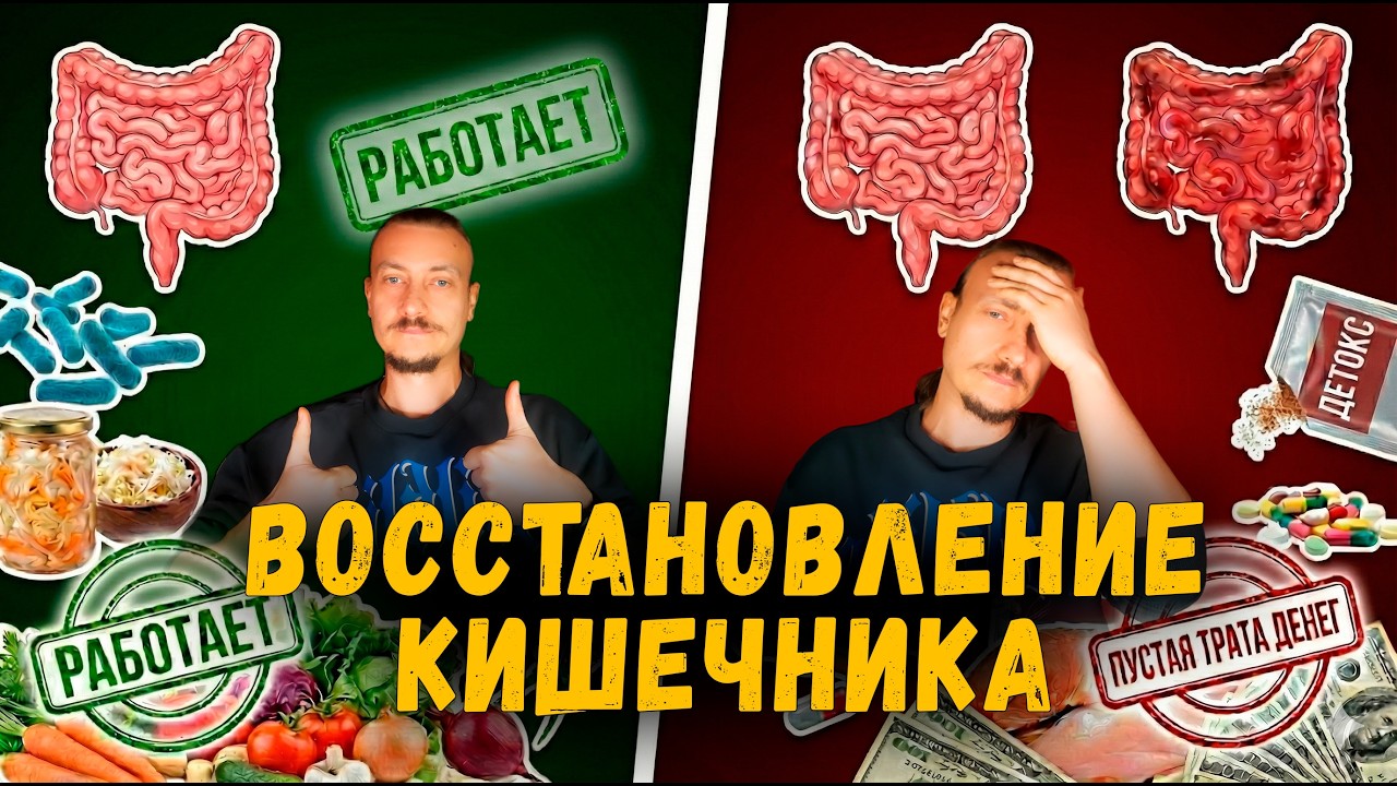 Убил микробиом? Вот как вернуть кишечнику суперсилу