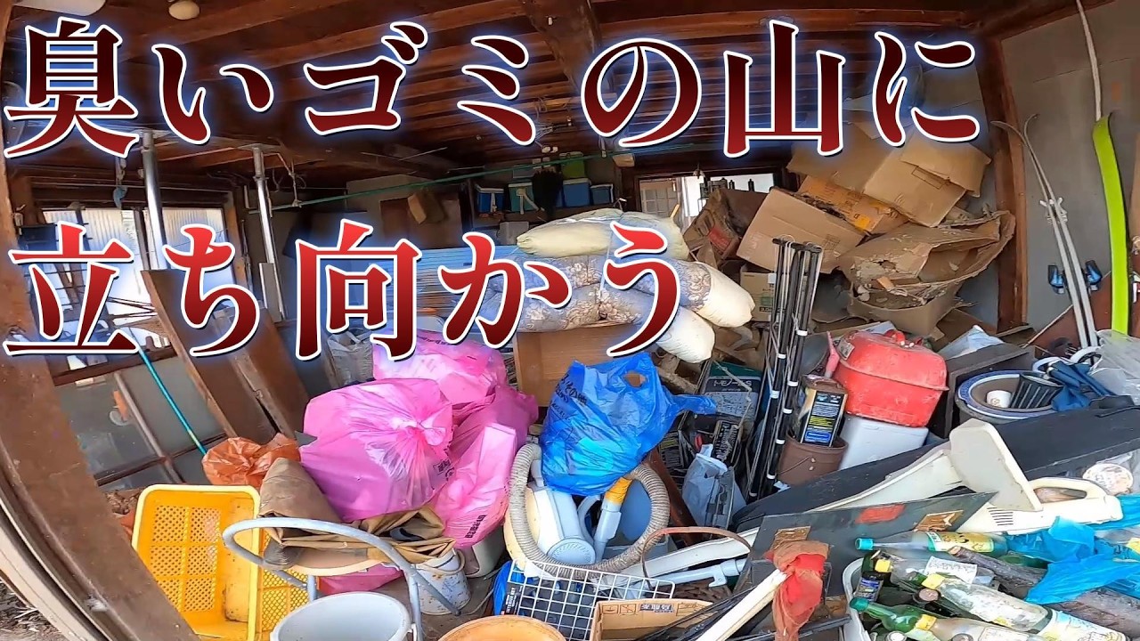 3年間放置していた臭い段ボールに絶望…。ゴミ車庫の段ボールを全て捨てる【50万円で買った家】【猫屋敷】 Valerion VisionMaster Pro2