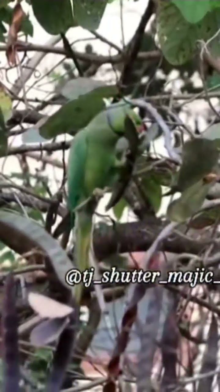 📷Tourism ಫೋಟೋಗ್ರಫಿ - ShareChat