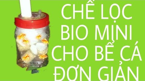 [Đ&D SÁNG TẠO] CHẾ LỌC BIO MINI CHO BỂ CÁ