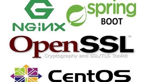 [NGINX SSL & SPRING BOOT SSL] 1.openssl & nginx install example